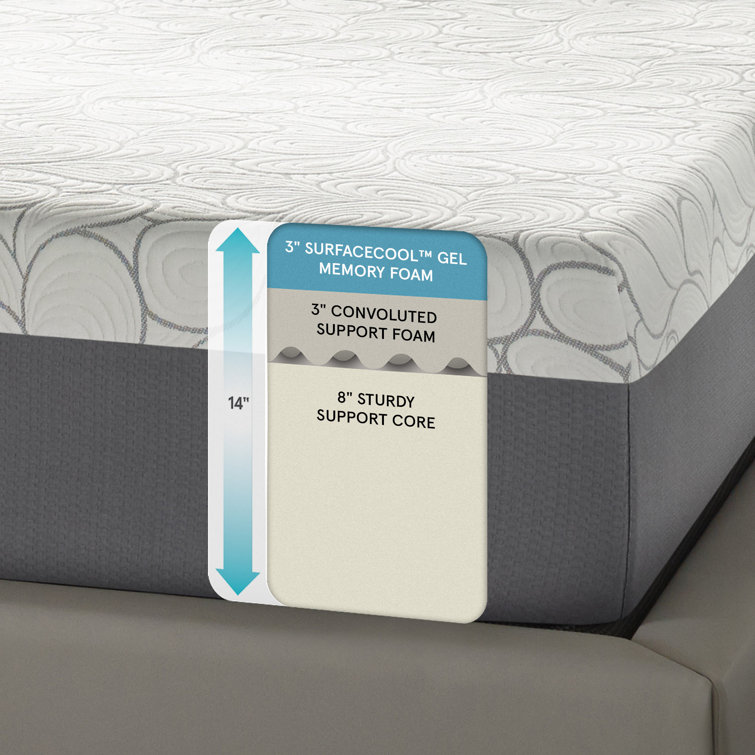 Beautyrest 14" Firm Gel Memory Foam Mattress & Reviews Joss & Main